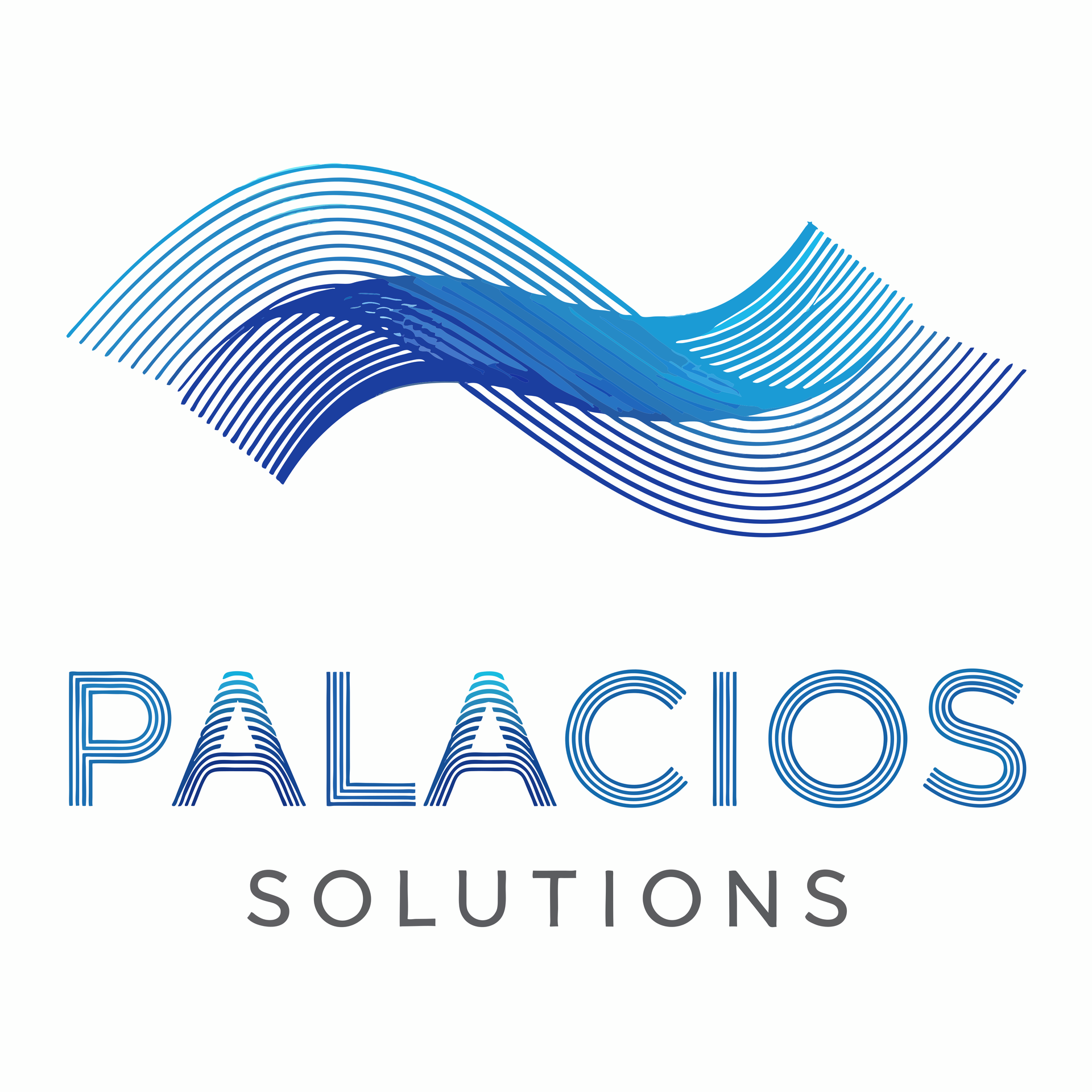 Palacios Solutions